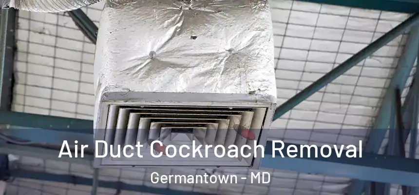 Air Duct Cockroach Removal Germantown - MD