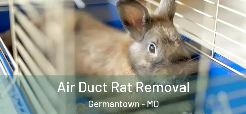Air Duct Rat Removal Germantown - MD