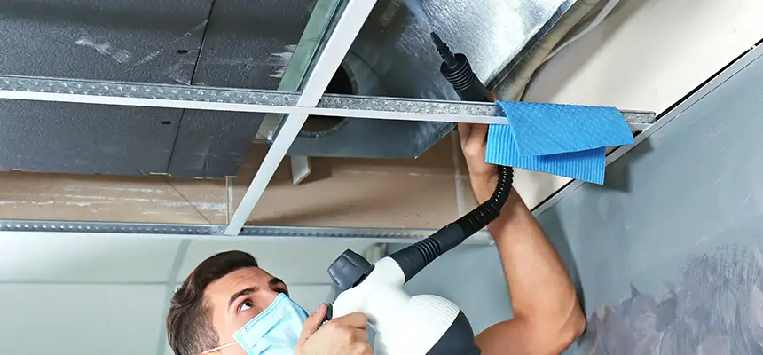 Our Air Duct Rodent Removal Services in Germantown, MD