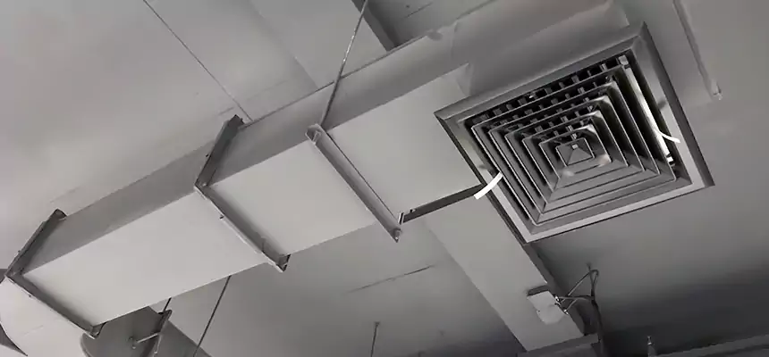 Restorative Allergy Relief Vent Cleaning – Coil, Blower & Housing Detail in Germantown