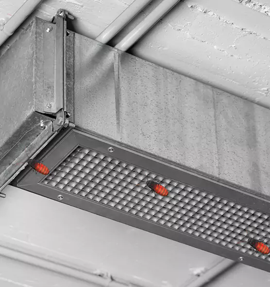 About Air Duct Cockroach Removal in Germantown, MD