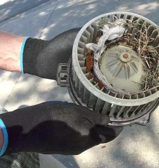 About Air Duct Mice Removal in Germantown, MD